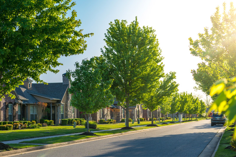 Why You Need to Know Your Property Lines